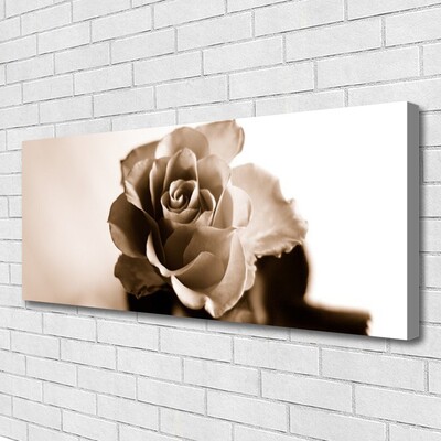 Quadro canvas Planta de flor de rosa