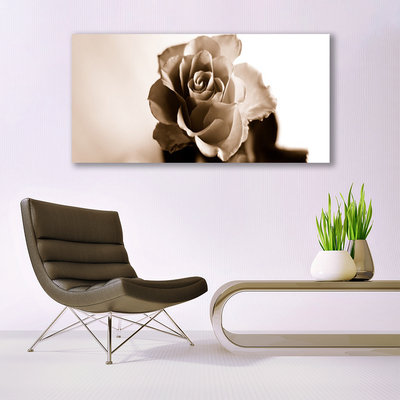 Quadro canvas Planta de flor de rosa