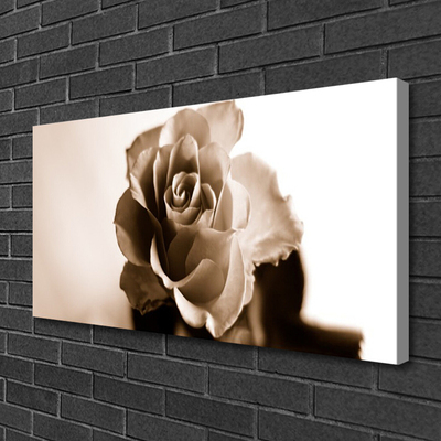 Quadro canvas Planta de flor de rosa