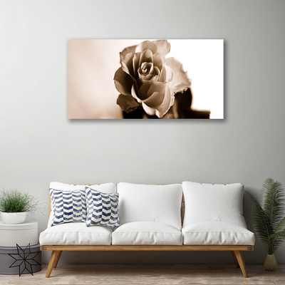Quadro canvas Planta de flor de rosa