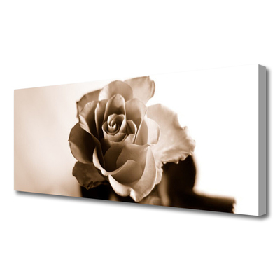 Quadro canvas Planta de flor de rosa