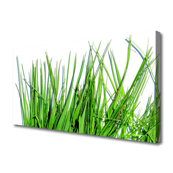 Quadro em tela Grama na Parede