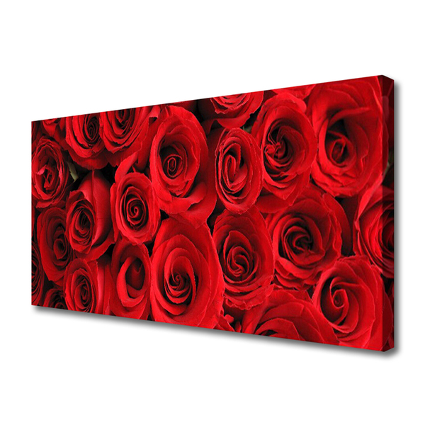 Quadro canvas Flores de rosas