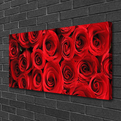 Quadro canvas Flores de rosas