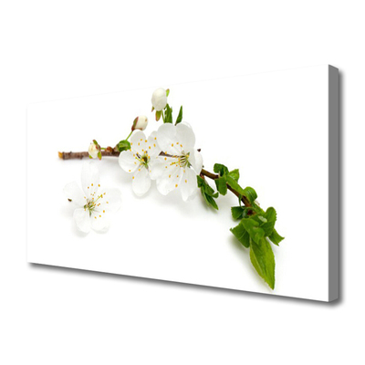 Quadro canvas Flor Ramo Natureza Planta