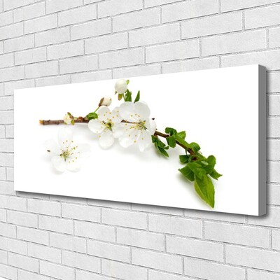 Quadro canvas Flor Ramo Natureza Planta
