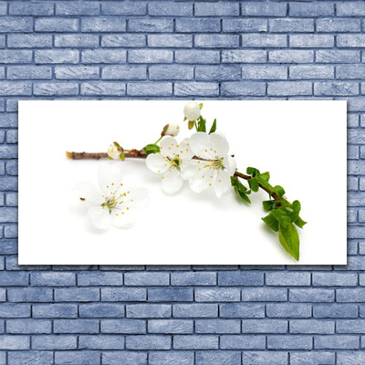 Quadro canvas Flor Ramo Natureza Planta