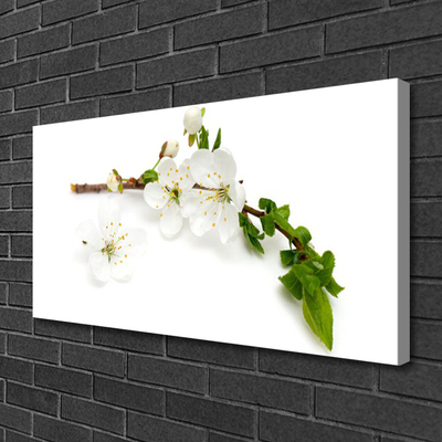 Quadro canvas Flor Ramo Natureza Planta