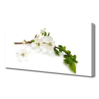 Quadro canvas Flor Ramo Natureza Planta
