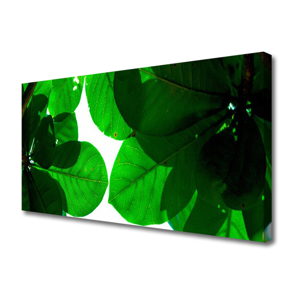 Quadro canvas Folhas na Parede