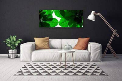 Quadro canvas Folhas na Parede