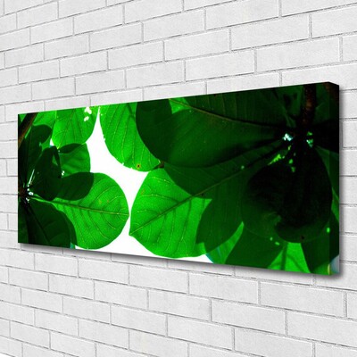Quadro canvas Folhas na Parede