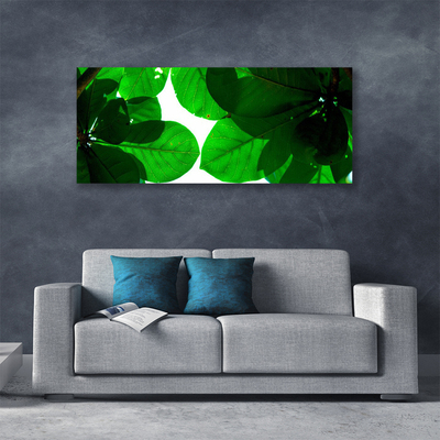 Quadro canvas Folhas na Parede