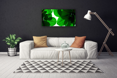 Quadro canvas Folhas na Parede