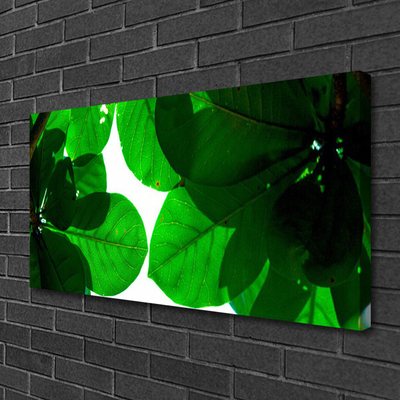Quadro canvas Folhas na Parede