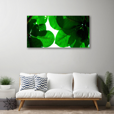 Quadro canvas Folhas na Parede