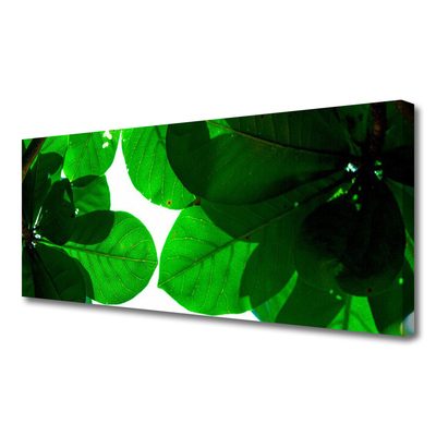 Quadro canvas Folhas na Parede