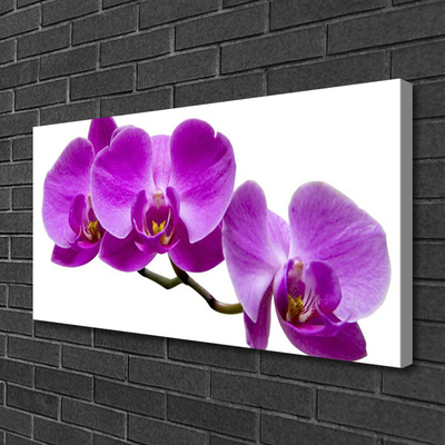 Quadro canvas Flores na Parede