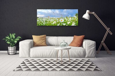 Quadro canvas Natureza do Prado Daisy