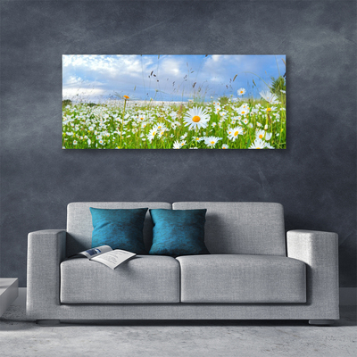 Quadro canvas Natureza do Prado Daisy