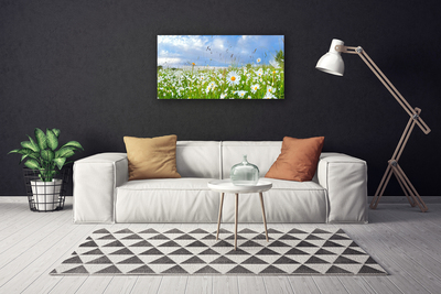 Quadro canvas Natureza do Prado Daisy