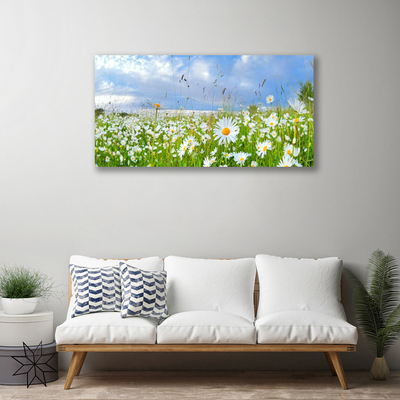 Quadro canvas Natureza do Prado Daisy