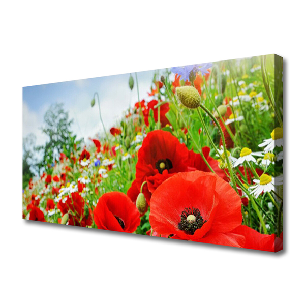 Quadro canvas Flores Natureza