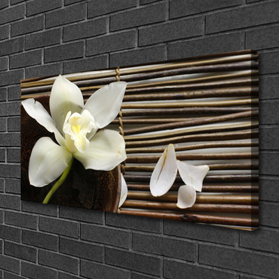 Quadro em tela Flor na Parede