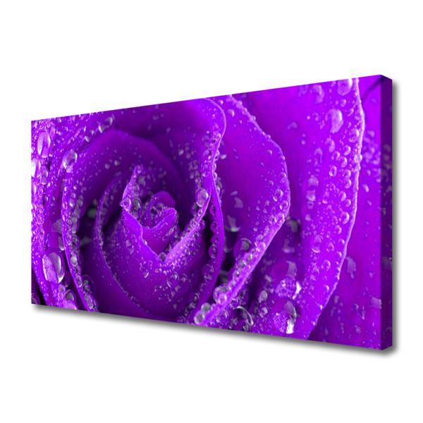 Quadro canvas Planta de flor de rosa