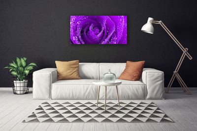 Quadro canvas Planta de flor de rosa
