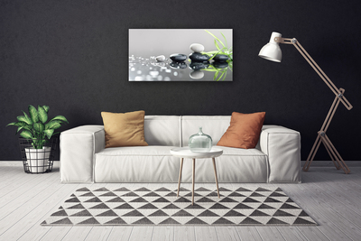 Quadro em tela Spa de Grama Zen Stones