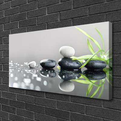 Quadro em tela Spa de Grama Zen Stones