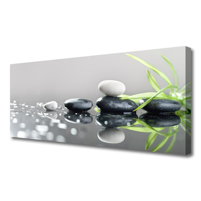 Quadro em tela Spa de Grama Zen Stones
