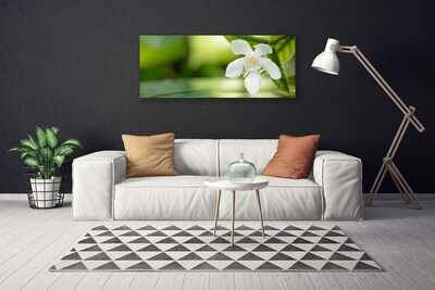 Quadro em tela Folhas de flores