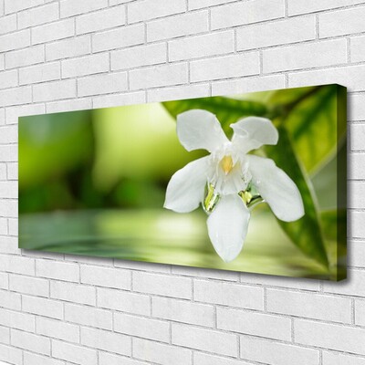 Quadro em tela Folhas de flores