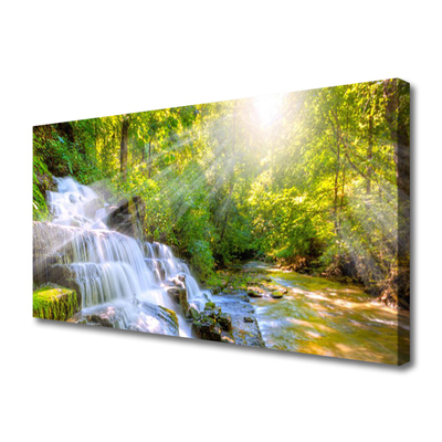Quadro canvas Cachoeira Floresta Natureza