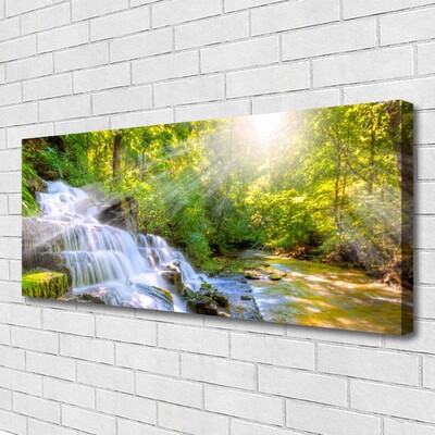 Quadro canvas Cachoeira Floresta Natureza