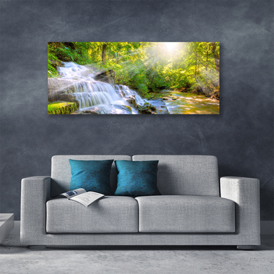 Quadro canvas Cachoeira Floresta Natureza