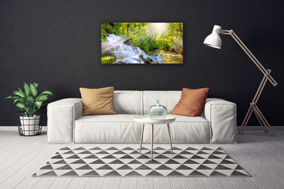 Quadro canvas Cachoeira Floresta Natureza