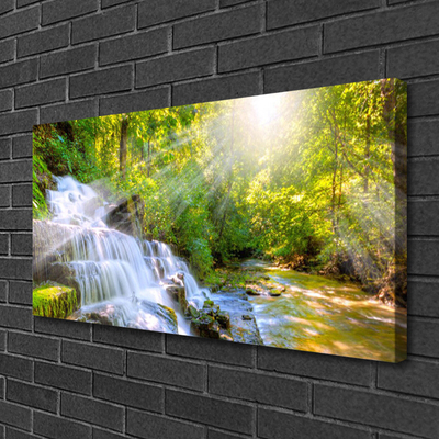 Quadro canvas Cachoeira Floresta Natureza