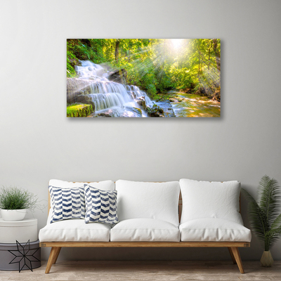 Quadro canvas Cachoeira Floresta Natureza