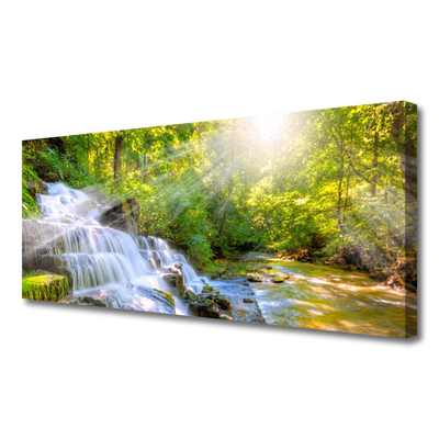 Quadro canvas Cachoeira Floresta Natureza