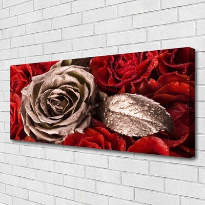 Quadro canvas Flores de rosas