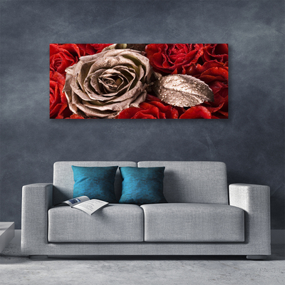 Quadro canvas Flores de rosas