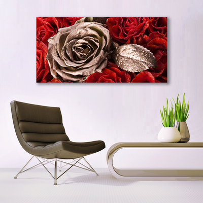 Quadro canvas Flores de rosas