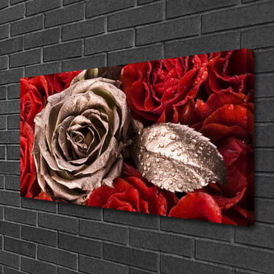Quadro canvas Flores de rosas