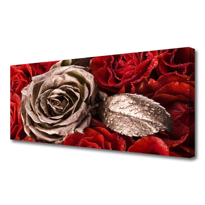 Quadro canvas Flores de rosas
