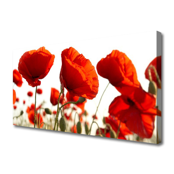 Quadro em tela Tulipas Flores