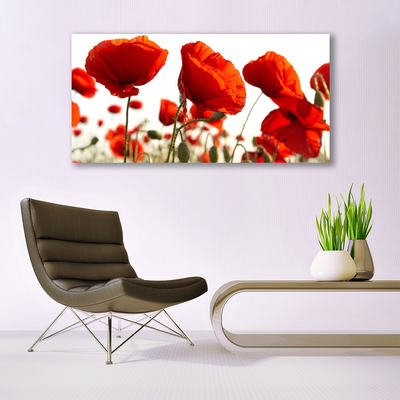 Quadro em tela Tulipas Flores