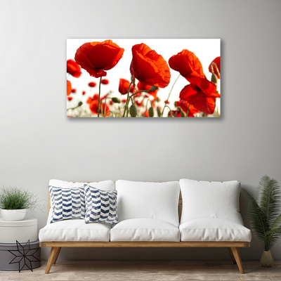 Quadro em tela Tulipas Flores